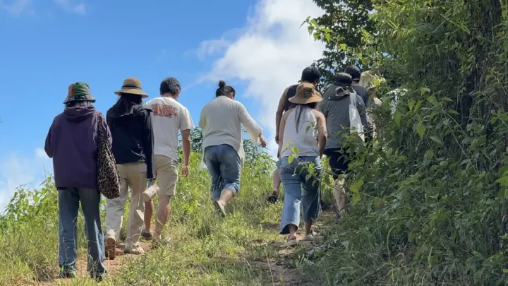 一群人沿着田野小路向前行走