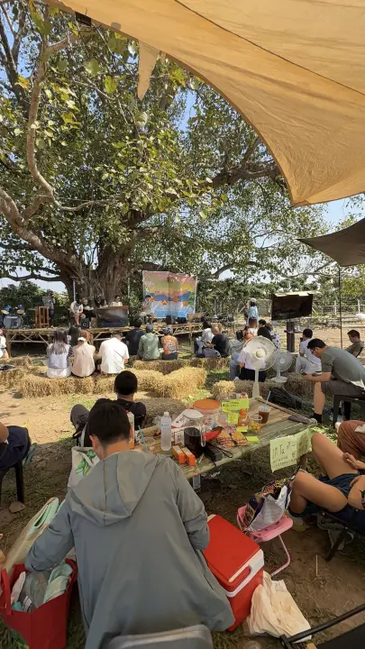 CMI 社区过往照片 453，纵向画面